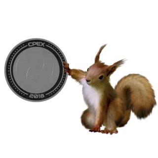 🐿 CPEX 2018 esquilo, moeda, ano, CPEX, animal, moeda telegram sticker