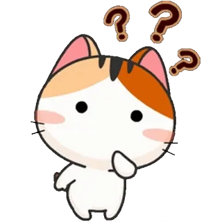 🤨 แมว, คำถาม, กำลังคิด, สับสน, การ์ตูน, สัตว์, สัตว์เลี้ยง telegram sticker