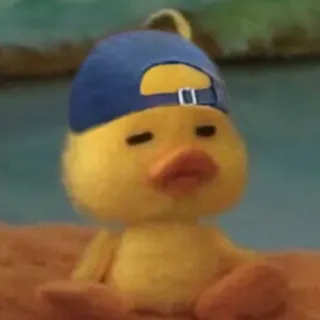 🦆 pato, chapéu, desenho animado, animal whatsapp sticker