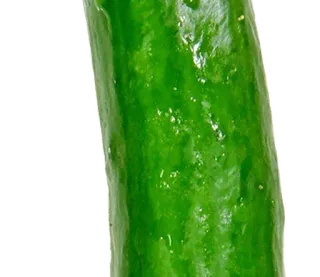 ⚪️ concombre, légume, nourriture, vert whatsapp sticker