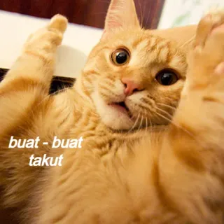 😣 buat - buat takut แมว, สีส้ม, สัตว์เลี้ยง, สัตว์, มีม, ตลก telegram sticker