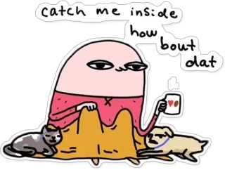 🏠 catch me inside how bout dat Meme, Divertente, Prendimi fuori, How bout dat, Cane, Gatto, Caffè telegram sticker