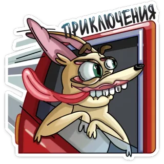 💃 ПРИКЛЮЧЕНИЯ anjing, petualangan, binatang, lucu, kartun, mobil, jendela telegram sticker