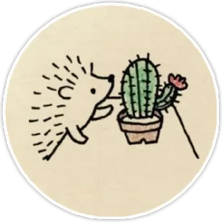 🌵 ёж, кактус, растение, милый, рисунок whatsapp sticker