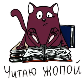 😶 Читаю жопой Katze, Buch, Lesen, Lustig, Russisch telegram sticker