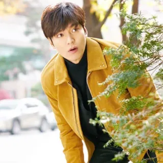 😮 Lee Min-ho attore, celebrità, uomo, coreano, bello, persona, stile telegram sticker