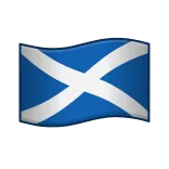 🏴
