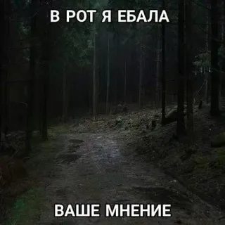 🖕 В РОТ Я ЕБАЛА
ВАШЕ МНЕНИЕ Wald, Obszöne Sprache, Schwarzer Humor telegram sticker