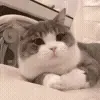 🤨