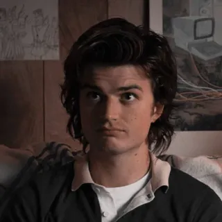 😐 Steve Harrington Stranger Things Steve Harrington, Stranger Things, Retrato, Joe Keery, Série TV, Ator telegram sticker