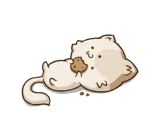 🍪 kot, ciastko, je, słodki, zwierzę telegram sticker
