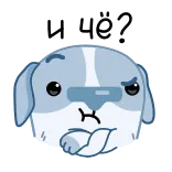 🤨 개, 강아지, 귀여운, 동물, 만화, 스티커 telegram sticker