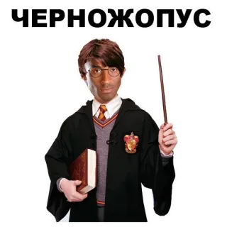 😹 Harry Potter ЧЕРНОЖОПОС Harry Potter, sorcier, livre, magie, offensant, insulte telegram sticker