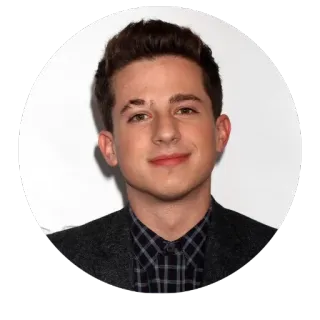 😊 Charlie Puth portrait, singer, celebrity, musician, man, person telegram sticker