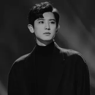 🕊 homme, portrait, noir et blanc, acteur, chanteur, kpop telegram sticker