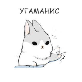 😖 Hase, Häschen, süß, Tier, Stinkefinger, beleidigende Geste telegram sticker