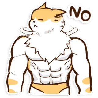 👎 No gatto, muscolo, divertente, no, adesivo whatsapp sticker