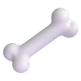 ๐ฆด