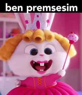 🍓 Snowball The Secret Life of Pets ben premsesim 토끼, 공주, 귀여운, 애니메이션, 토끼, 왕관, 웃긴 whatsapp sticker