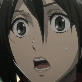 ❤️ Mikasa Ackerman Attack on Titan อนิเมะ, มังงะ, ตัวละคร, กลัว, กังวล, มิคาสะ, ผ่าพิภพไททัน whatsapp sticker