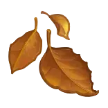 🍂