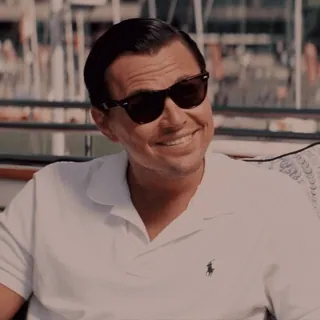😎 hombre, gafas de sol, polo, Leonardo DiCaprio, sonriendo, rico, barco telegram sticker