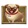 🐶
