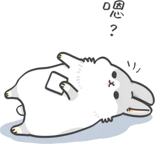 ❓ 嗯心
？ królik, naklejka, kreskówka, słodki, zwierzę telegram sticker
