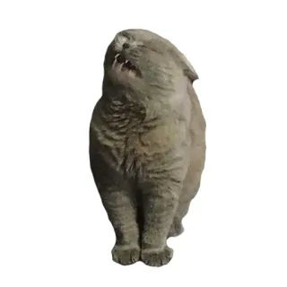 Troshka & koshka telegram stickers