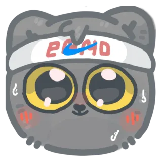 🤸 ERMD кот, животное, мультфильм, потеющий, повязка на голову whatsapp sticker