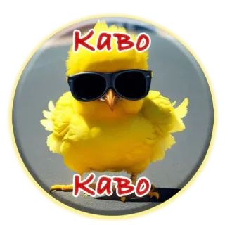 ❓ Каво курица, солнцезащитные очки, милый, желтый, каваий, птица, животное telegram sticker