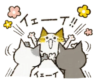 💐 イエーイ!!
イエーイ kot, słodki, święto, zwierzę, kwiat, radosny telegram sticker