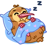 😴 киви, птица, сонный, подушка, милый, животное, спящий whatsapp sticker