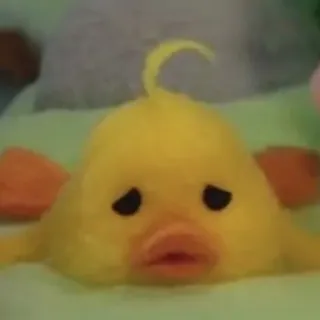 🦆 pato, triste, amarelo, animal whatsapp sticker