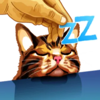 💤 ZZZ кот, сон, zzz, спящий, уставший, дрема, животное whatsapp sticker
