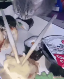 😳 chat, sushi, nourriture, animal, animal de compagnie, baguettes, déjeuner whatsapp sticker