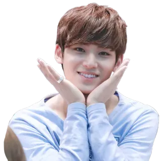 🤗 kpop, pria, senyum, potret, orang, lucu telegram sticker