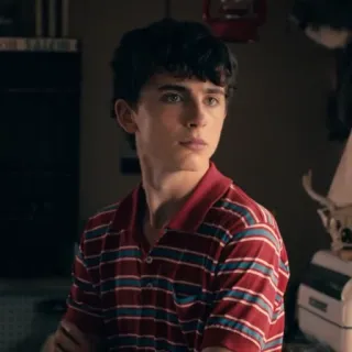 😐 Timothée Chalamet Человек, Актер, Портрет, Молодой человек, Знаменитость whatsapp sticker