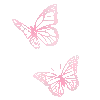 🦋