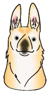 😐 llama, binatang, kartun, lucu, imut telegram sticker