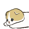 🐱