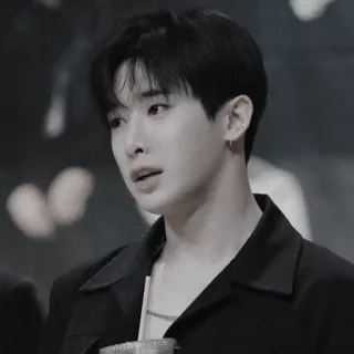 🌓 мужчина, портрет, человек, азиат, kpop, певец telegram sticker