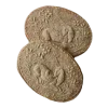 🍪
