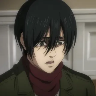 💈 Mikasa Ackerman Attack on Titan Anime, Mangá, Mikasa Ackerman, Attack on Titan, triste, preocupado telegram sticker