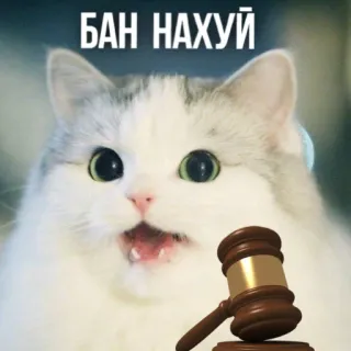 🔨 БАН НАХУЙ แมว, ผู้พิพากษา, ค้อน, คำสบถรัสเซีย telegram sticker