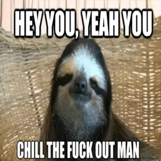 🙃 HEY YOU, YEAH YOU
CHILL THE FUCK OUT MAN kukang, meme, santai, bahasa kasar telegram sticker