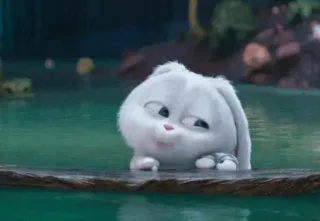 🍭 Snowball The Secret Life of Pets Hase, Kaninchen, Weiß, Tier, Cartoon, Film, Haustier telegram sticker