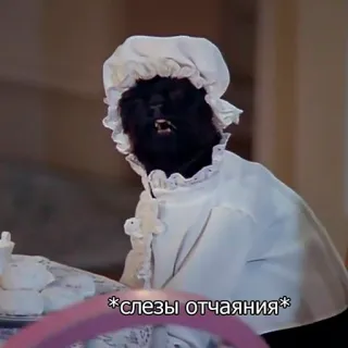 😿 *слезы отчаяния* crying, sad, despair, anthropomorphic, cat telegram sticker