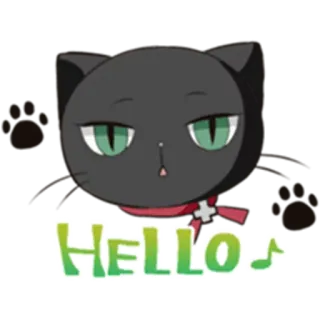 😺 HELLO Katze, Gruß, Hallo, Cartoon, Tier telegram sticker