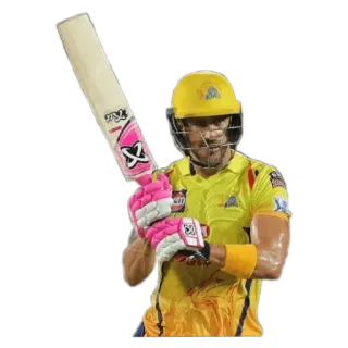 🥰 Cricket, Schlagmann, Sport, Spieler, Team, Schläger, Helm, Uniform whatsapp sticker